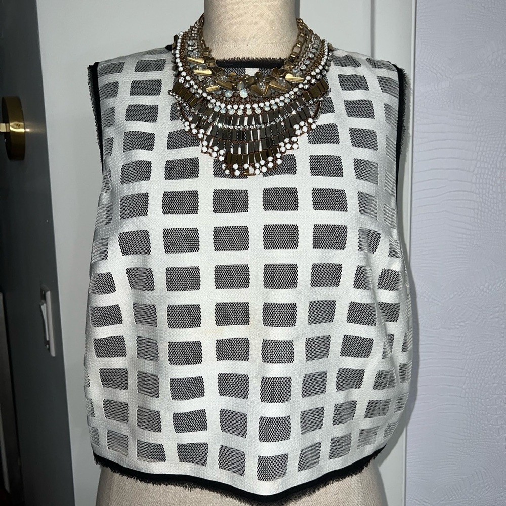 Cropped mesh dress shirt. Intermix sz L